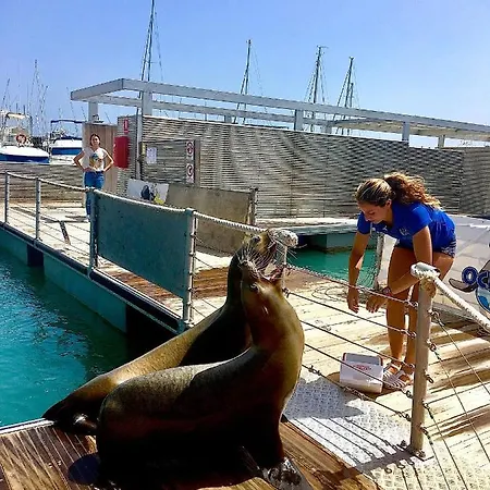 别墅 Melissa 科斯塔德安提瓜